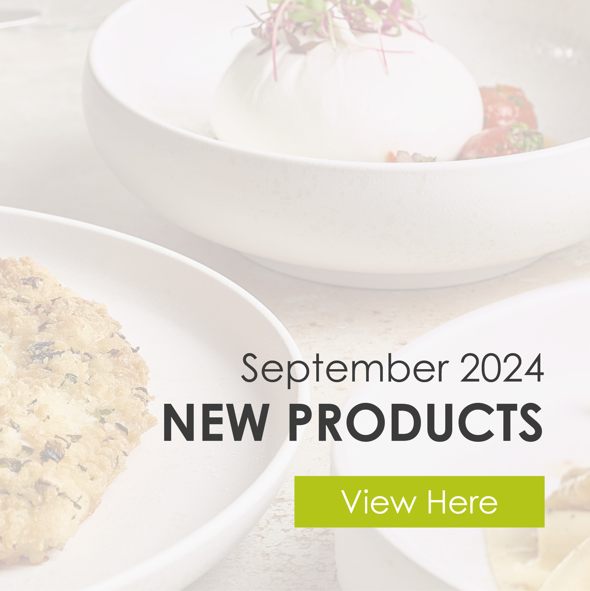 September 2024 New Products